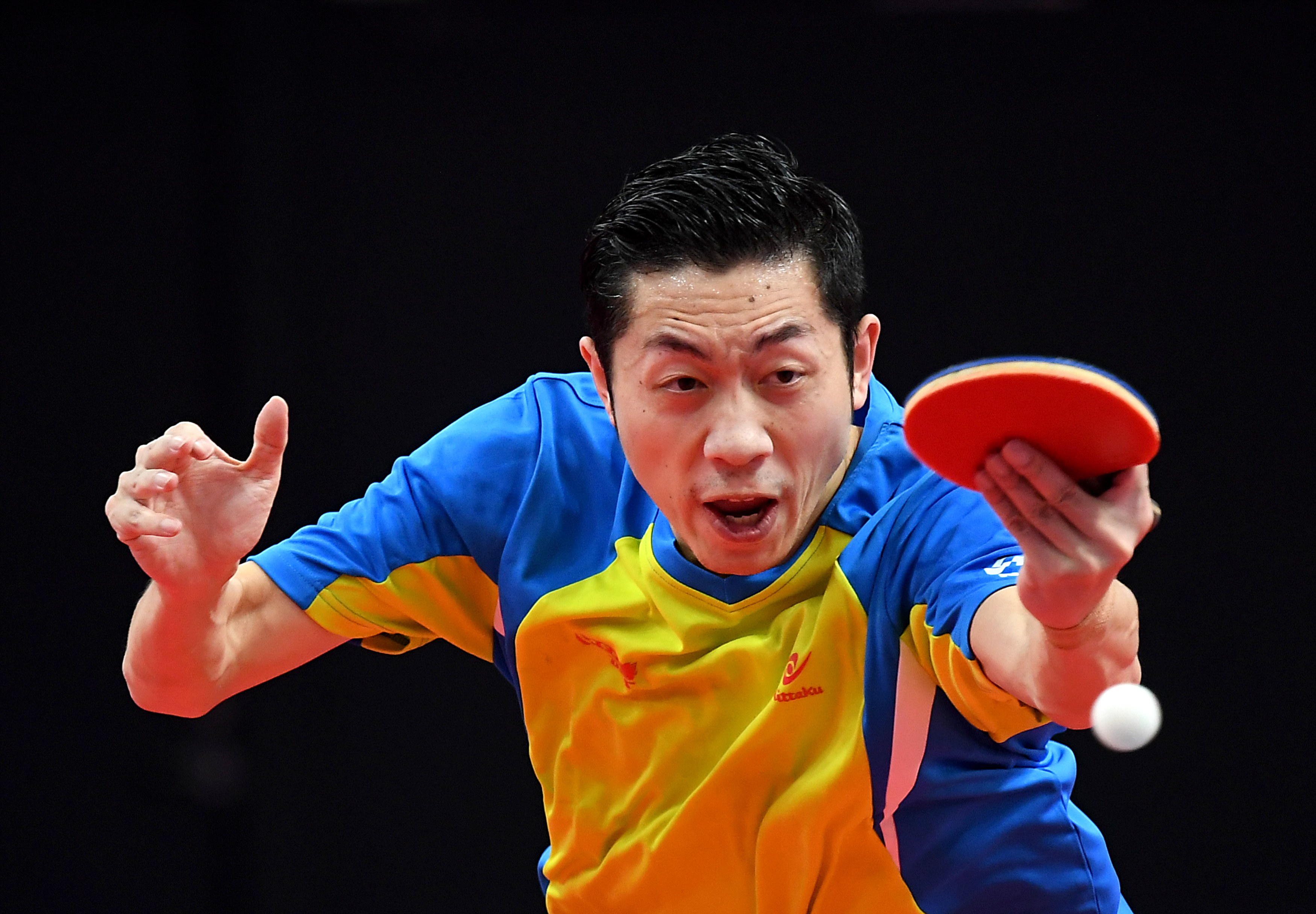 波兰乒乓球队力克比利时乒乓球队,许昕绝境逆转的简单介绍 波兰乒乓球队力克比利时乒乓球队,许昕绝境逆转的简单介绍