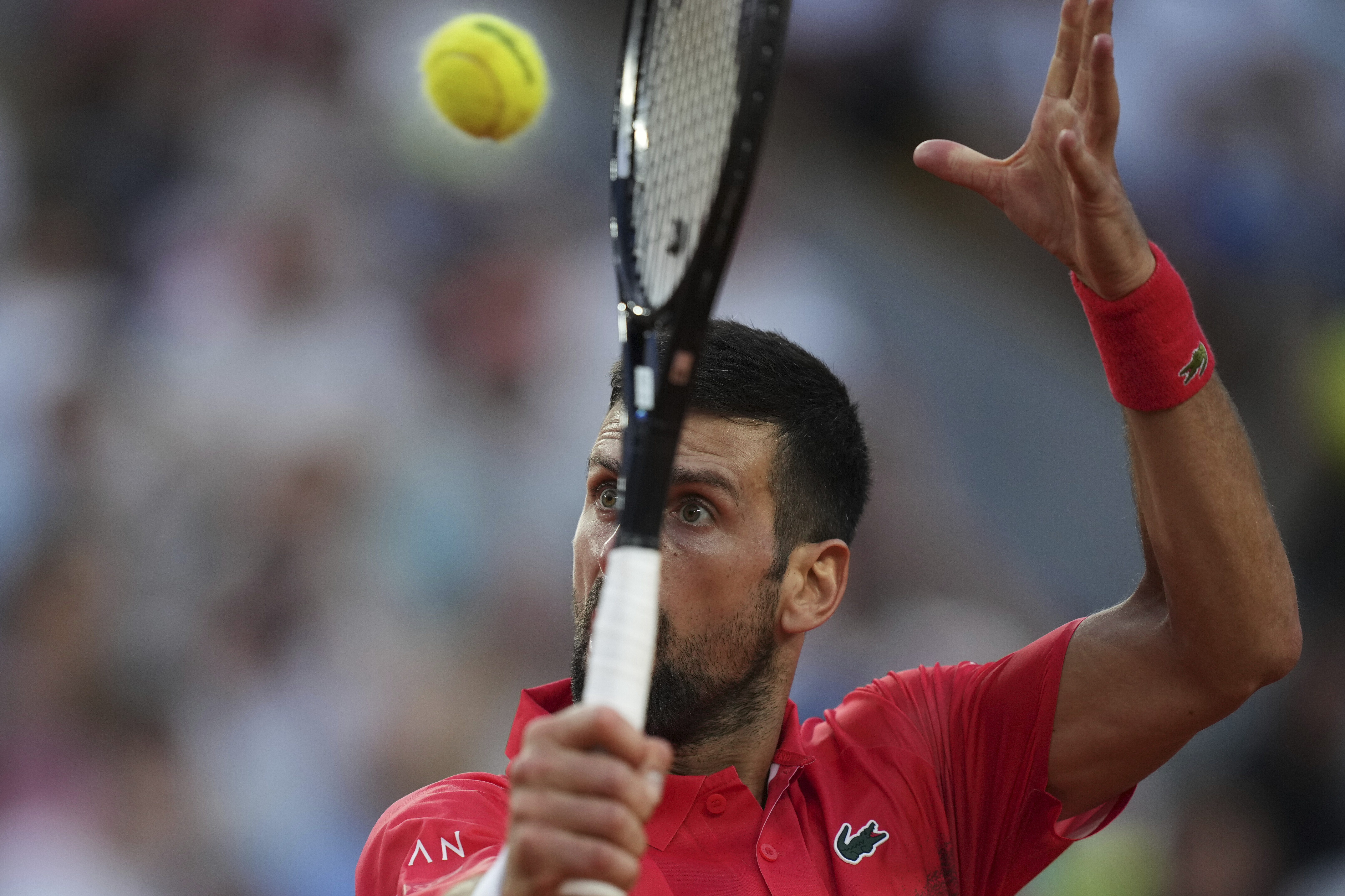 包含专家预测网球胜率超六成，结果成焦点的词条