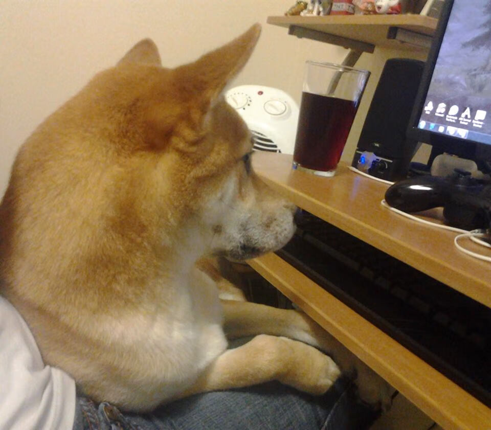 C罗倒钩绝杀,爱尔兰战术碾压佛罗伦萨背后,竟藏着欧洲足球的惊天变局?