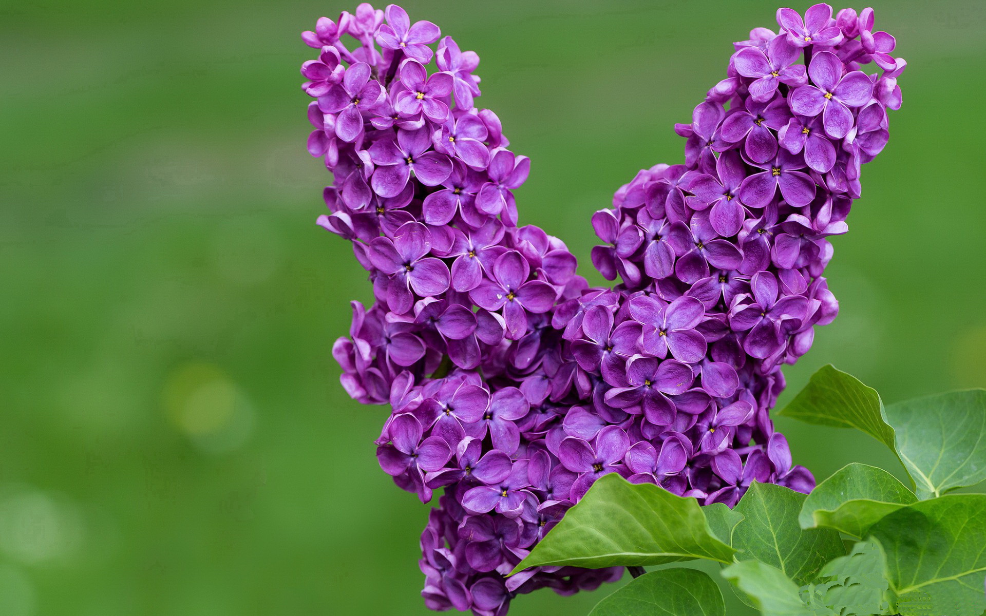 姆巴佩独木难支!巨星之光下,尼日利亚新锐一波流带走韩国