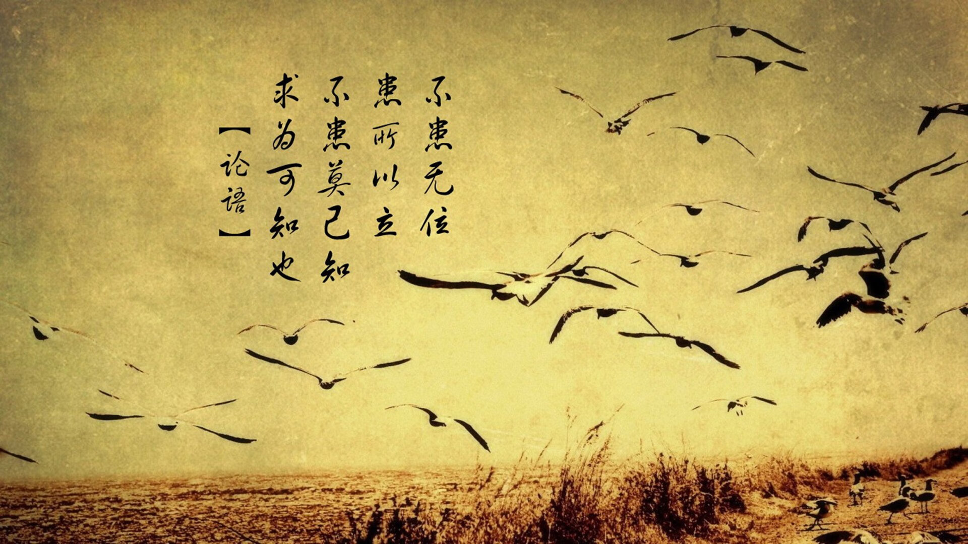 姆巴佩独木难支!巨星之光下,尼日利亚新锐一波流带走韩国