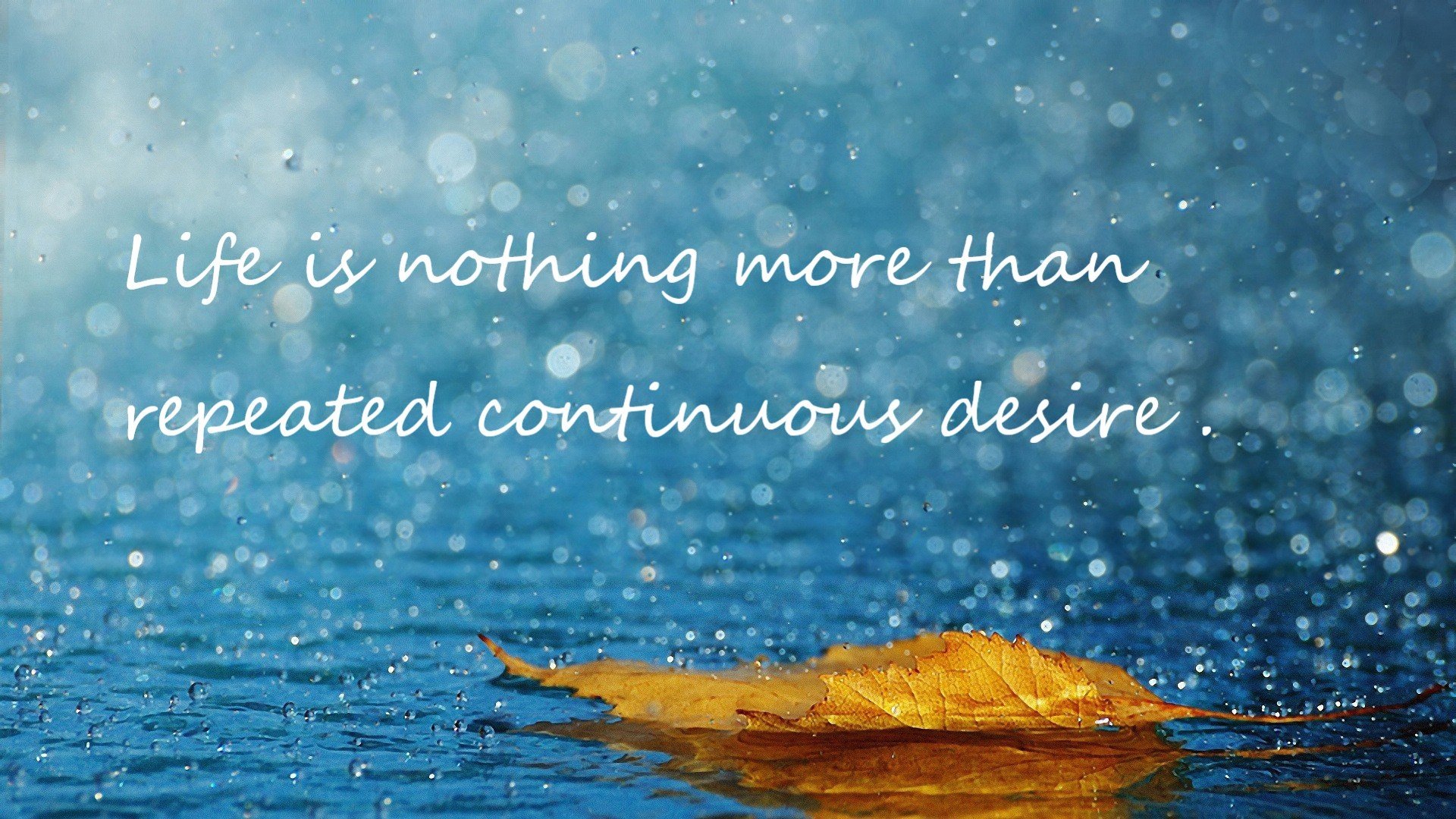 深夜惊雷！广厦奇兵福克斯偷走胜利，勇士主场陷落