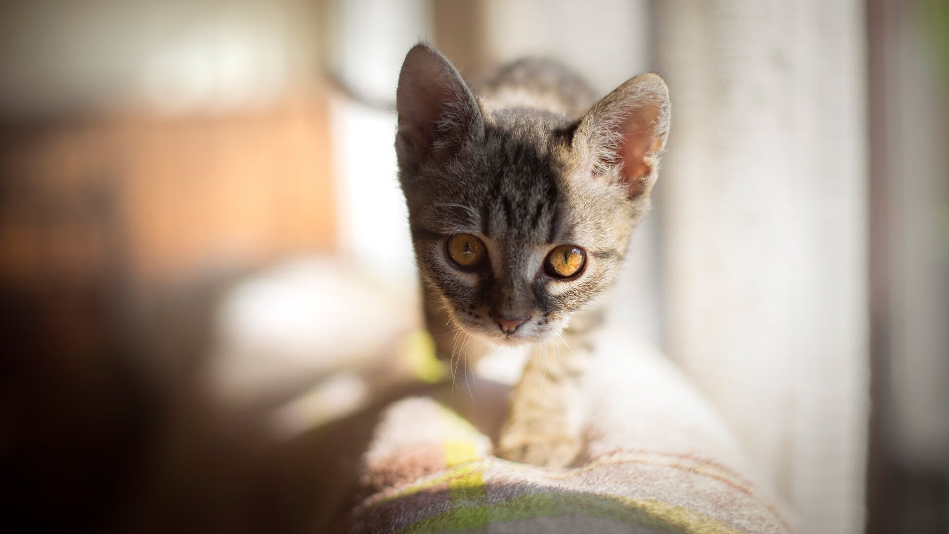 生死战之光,马丁内利爆发助巴萨力克马竞