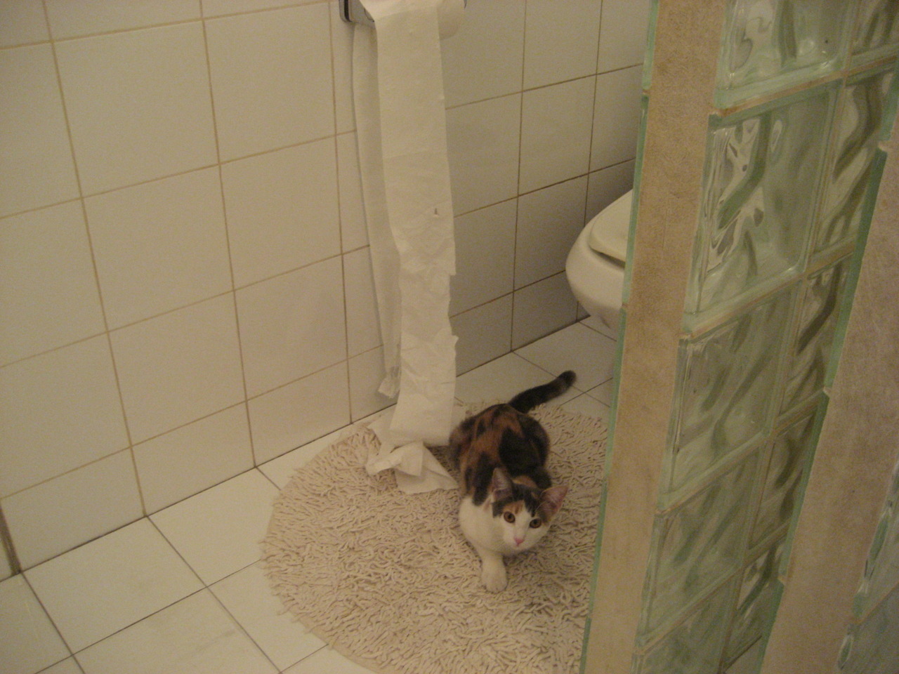 冰与火之歌，新疆队远征费城，贝恩加冕硬仗之王