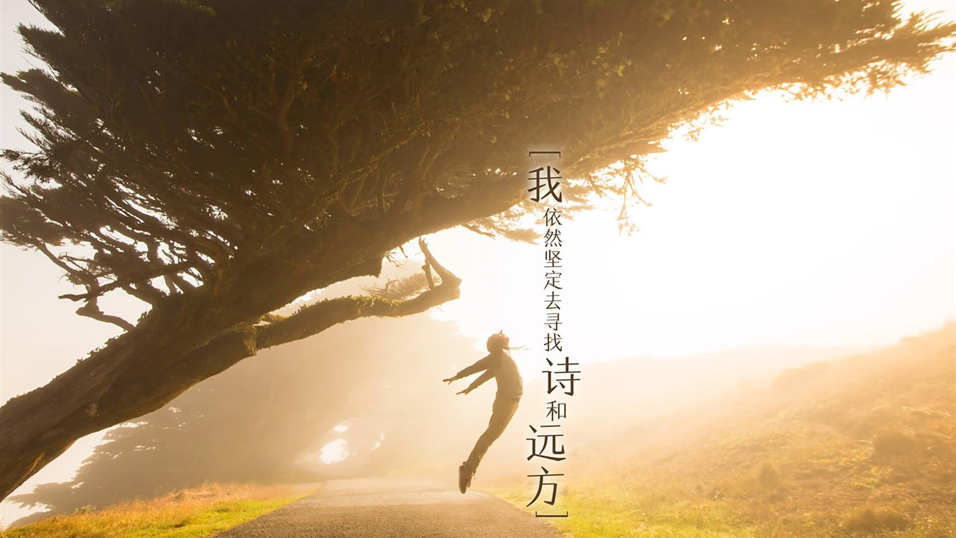 本泽马暮年壮心未已，黄色潜水艇青春风暴正劲，法兰西大地的足球辩证法