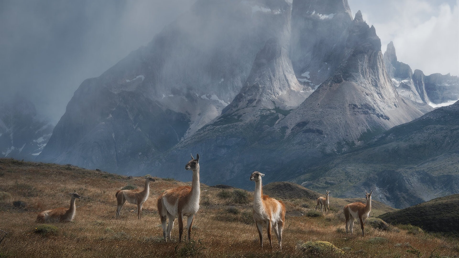 开云下载-当申城铁闸遇上休斯顿火焰，2026世界杯史诗一战，上海队一波流带走火箭