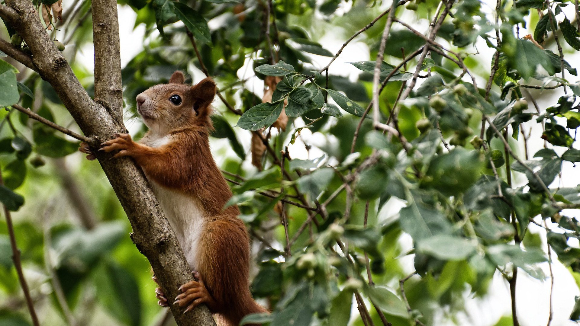 最后三分钟摧毁曼联的心脏，乌拉圭神秘力量与迪亚斯的一球成名