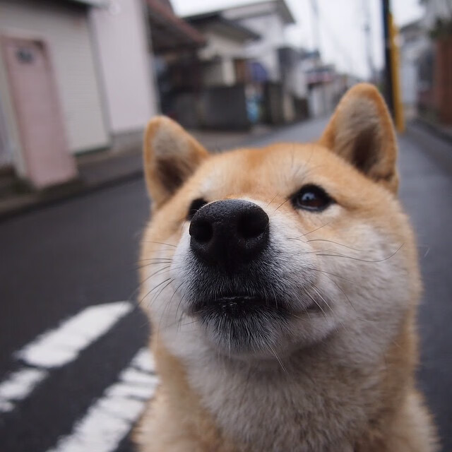 阿尔瓦雷斯生涯之夜璀璨绽放，乌拉圭鏖战瑞典谱写绿茵传奇